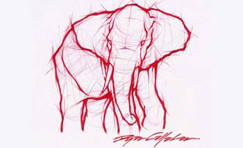 Elephant Sketch