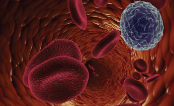 Lymphocyte